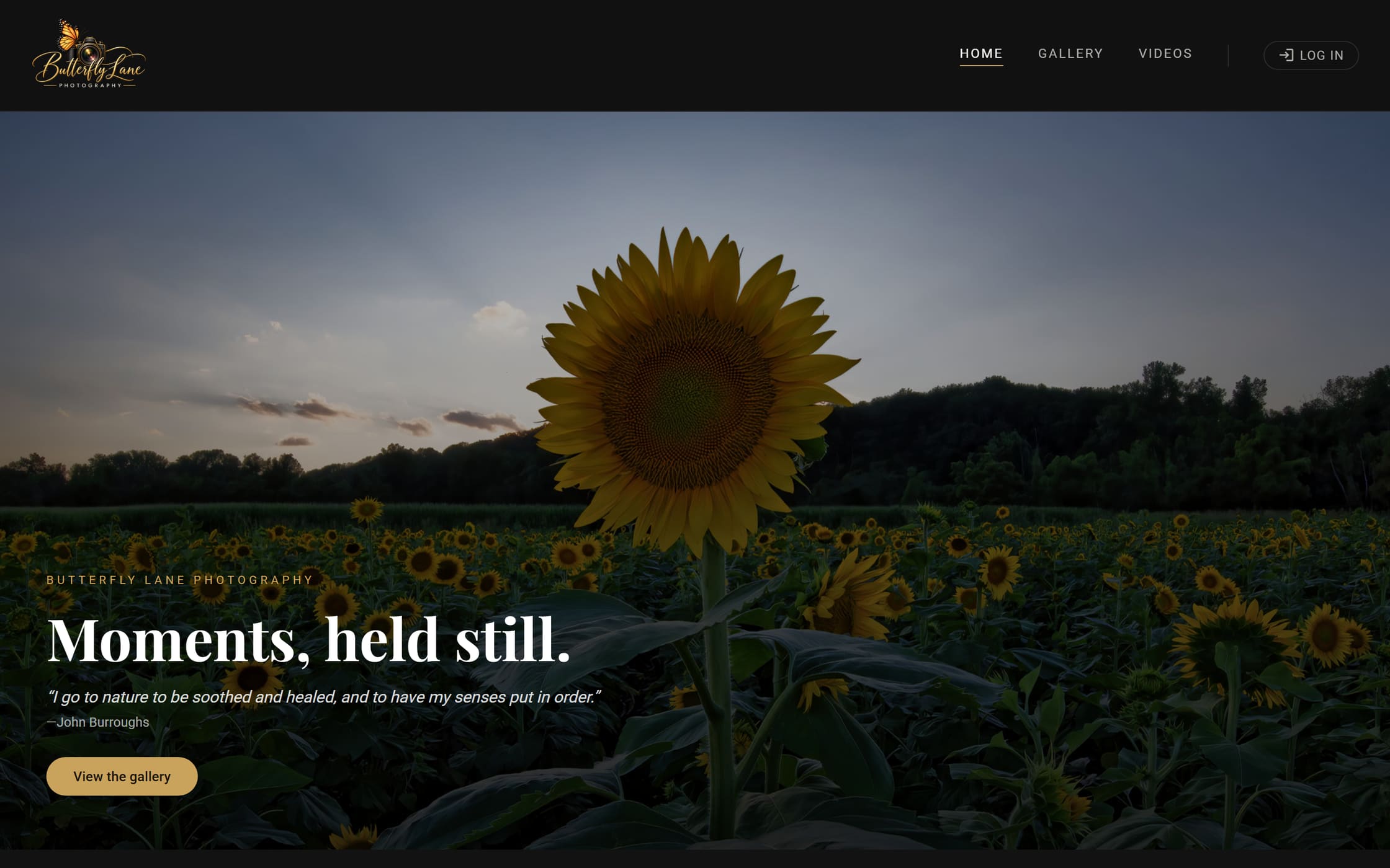 Butterfly Lane Photography, a FrameRoost site: a full-width hero photo under the site's logo and menu.
